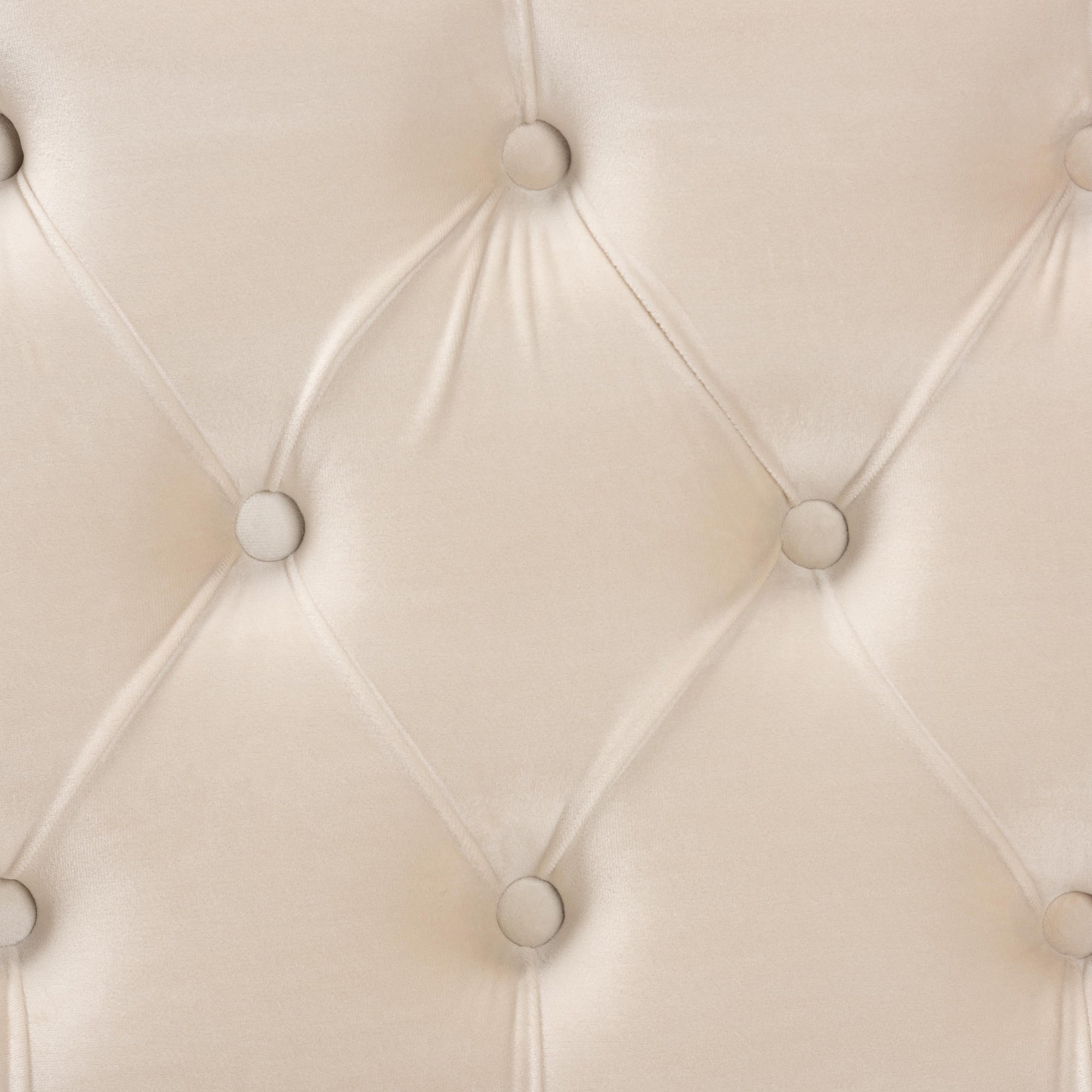 Powell Beige Velvet Fabric Upholstered and Gold PU Leather Storage Ottoman