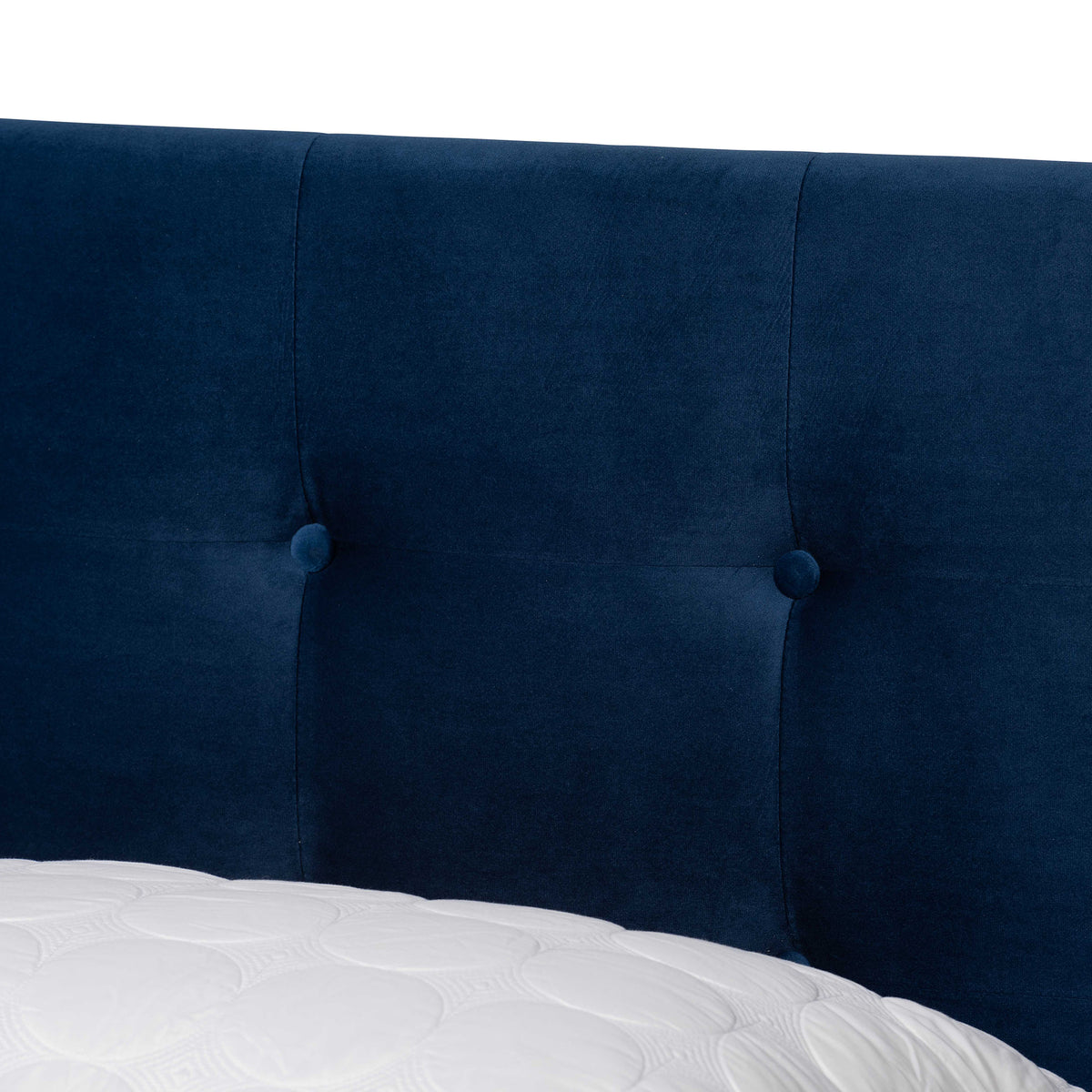 Caprice Modern and Contemporary Glam Navy Blue Velvet Fabric Upholstered Queen Size Panel Bed