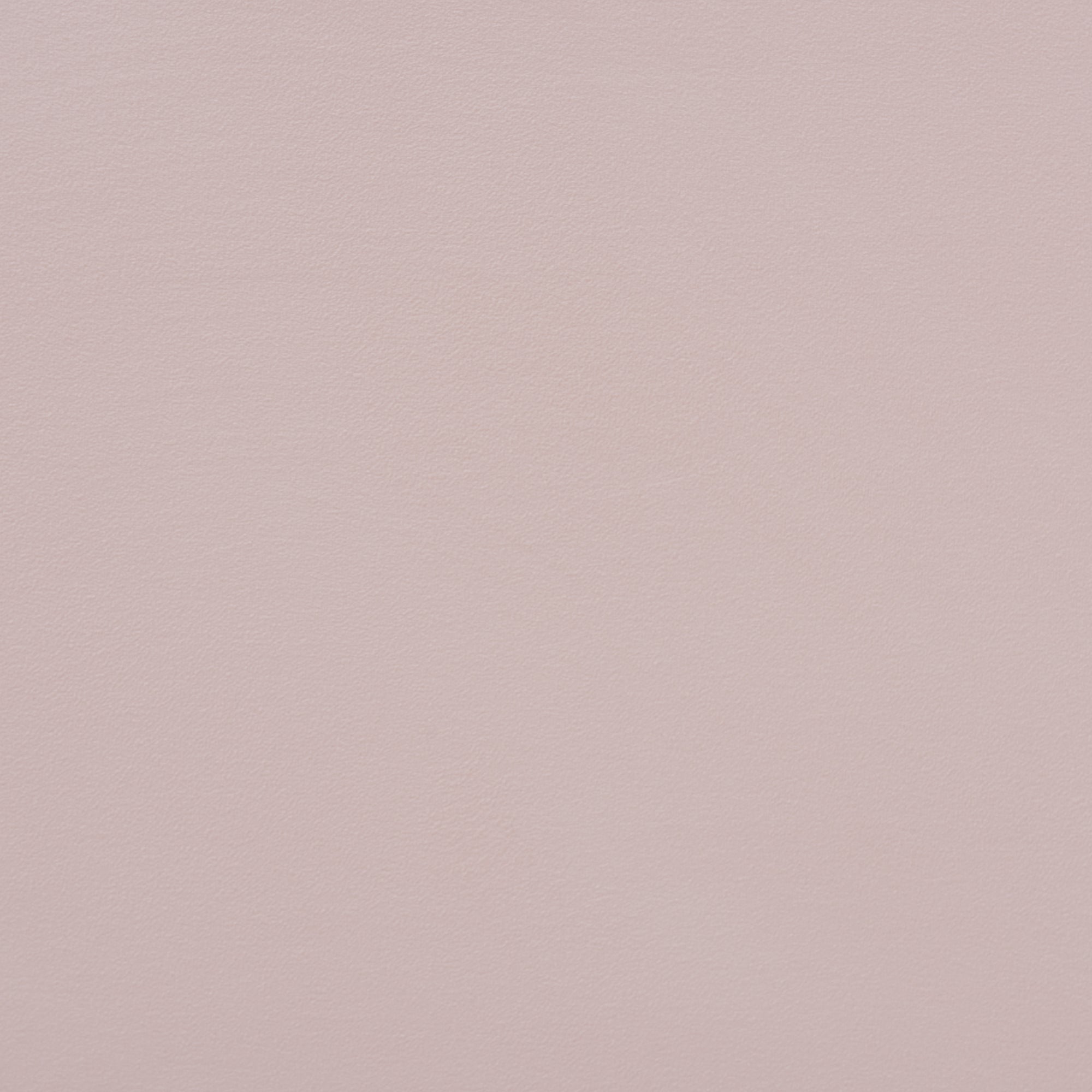 Timila Modern and Contemporary Light Pink Velvet Fabric Upholstered Queen Size Daybed