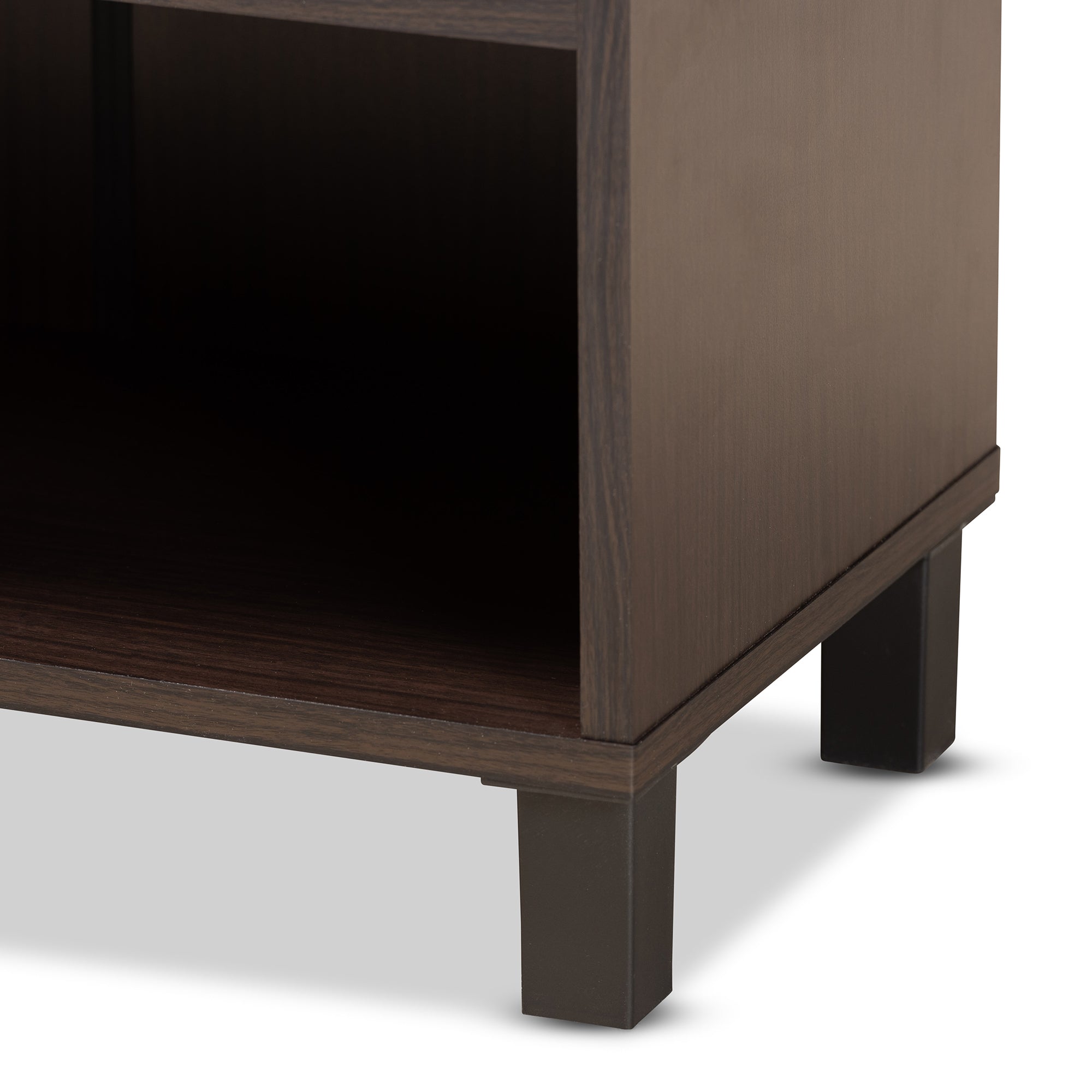 Rossin Modern and Contemporary Dark Brown Finished Wood 2-Door Entryway Shoe Storage Cabinet with Bottom Shelf