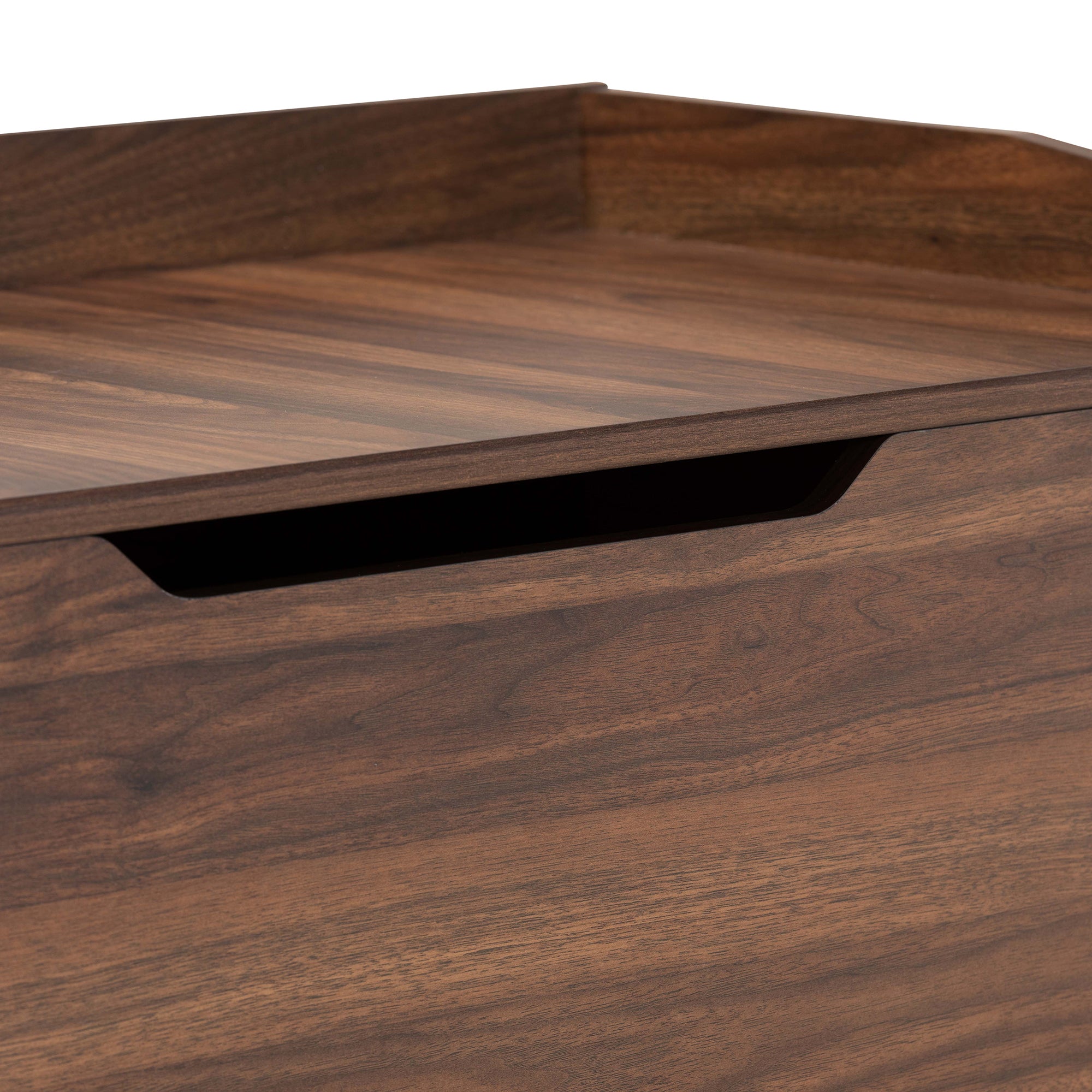 Mariam Modern and Contemporary Walnut Brown Finished Wood Cat Litter Box Cover House