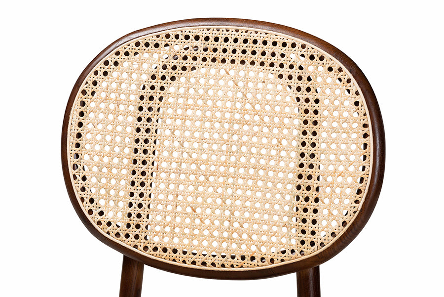 Garold Mid-Century Modern Brown Woven Rattan and Walnut Brown Wood 2-Piece Cane Dining Chair Set