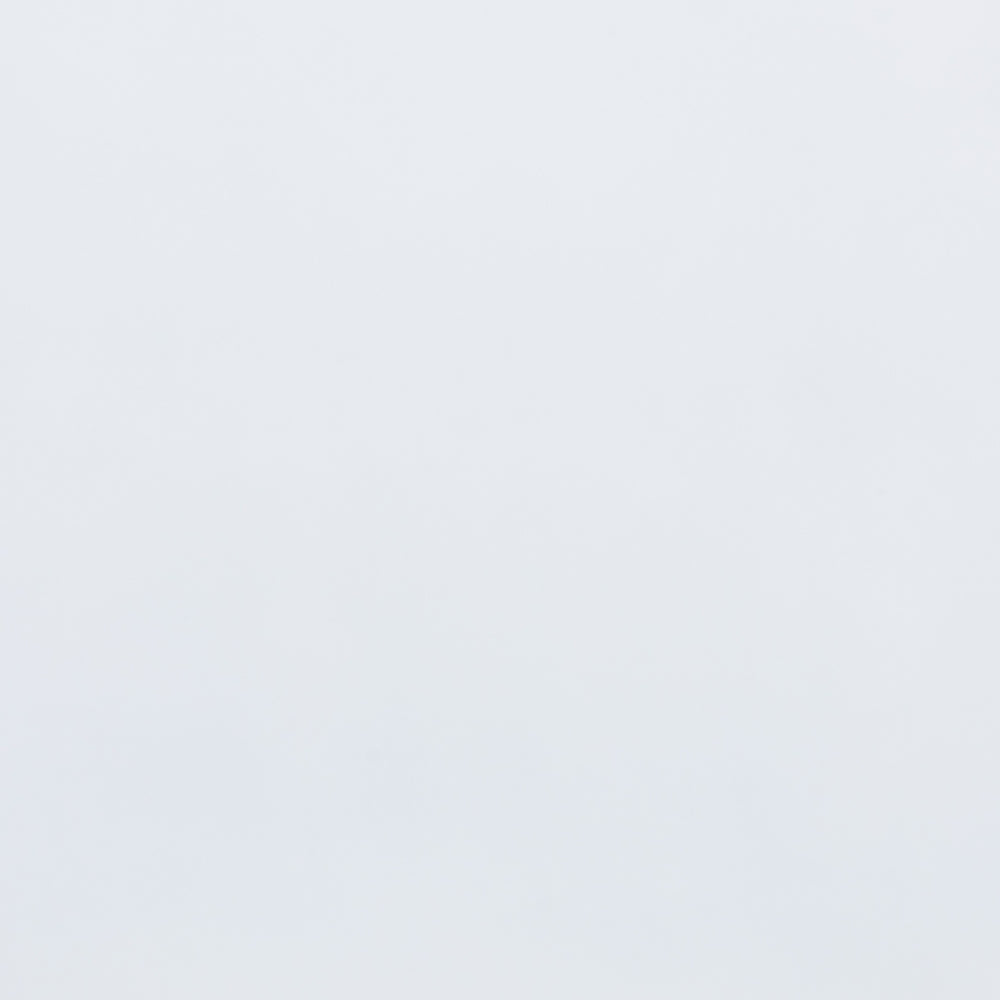 Sher Twin Size Solid Wood Platform Bed – White Traditional Bed with Inset Paneling