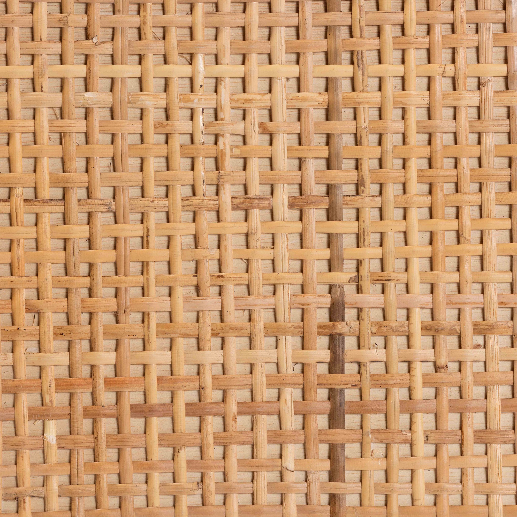 Vivan Modern Bohemian Natural Brown Rattan 1-Door Nightstand