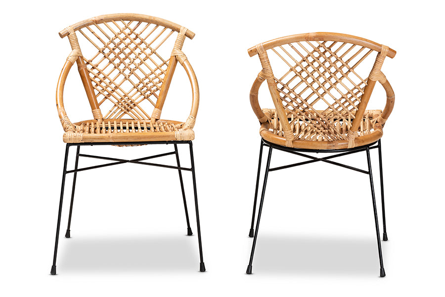 bali & pari Pro Modern Bohemian Natural Brown Rattan and Black Metal 2-Piece Dining Chair Set