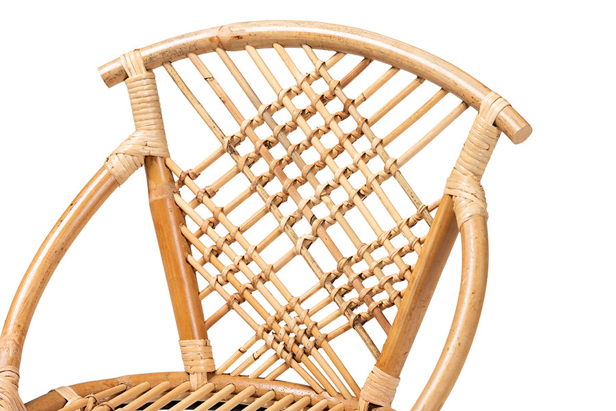 bali & pari Pro Modern Bohemian Natural Brown Rattan and Black Metal 2-Piece Dining Chair Set