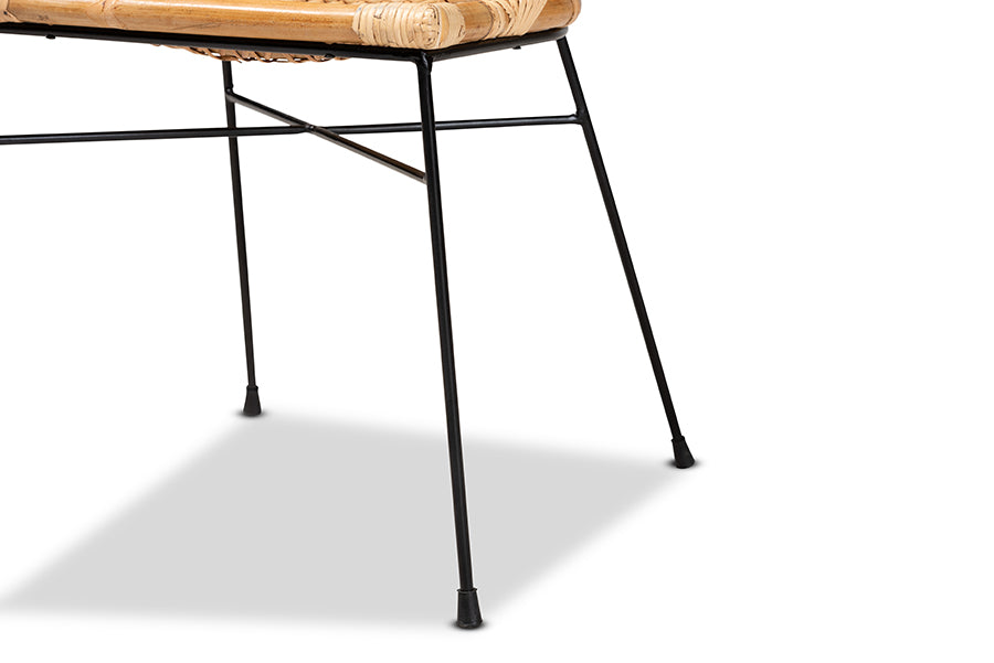 bali & pari Pro Modern Bohemian Natural Brown Rattan and Black Metal 2-Piece Dining Chair Set