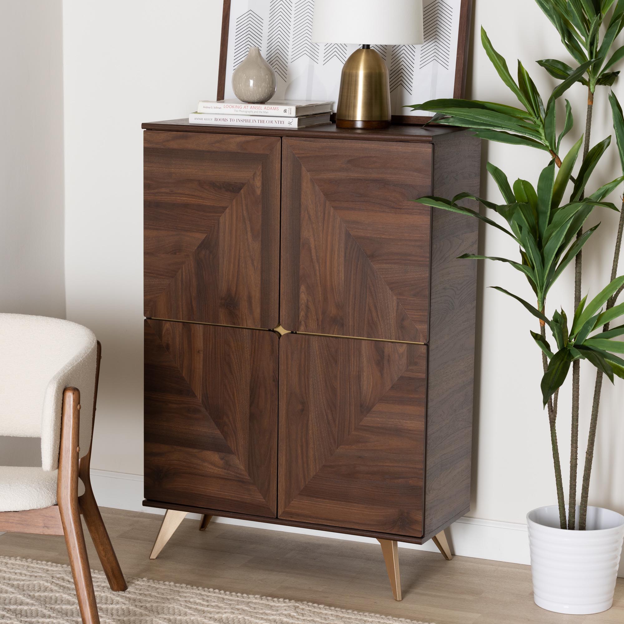 Graceland Mid-Century Modern Transitional Walnut Brown Finished Wood Shoe Cabinet