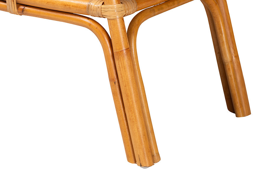 Nayana Modern Bohemian Natural Rattan 2-Tier Console Table