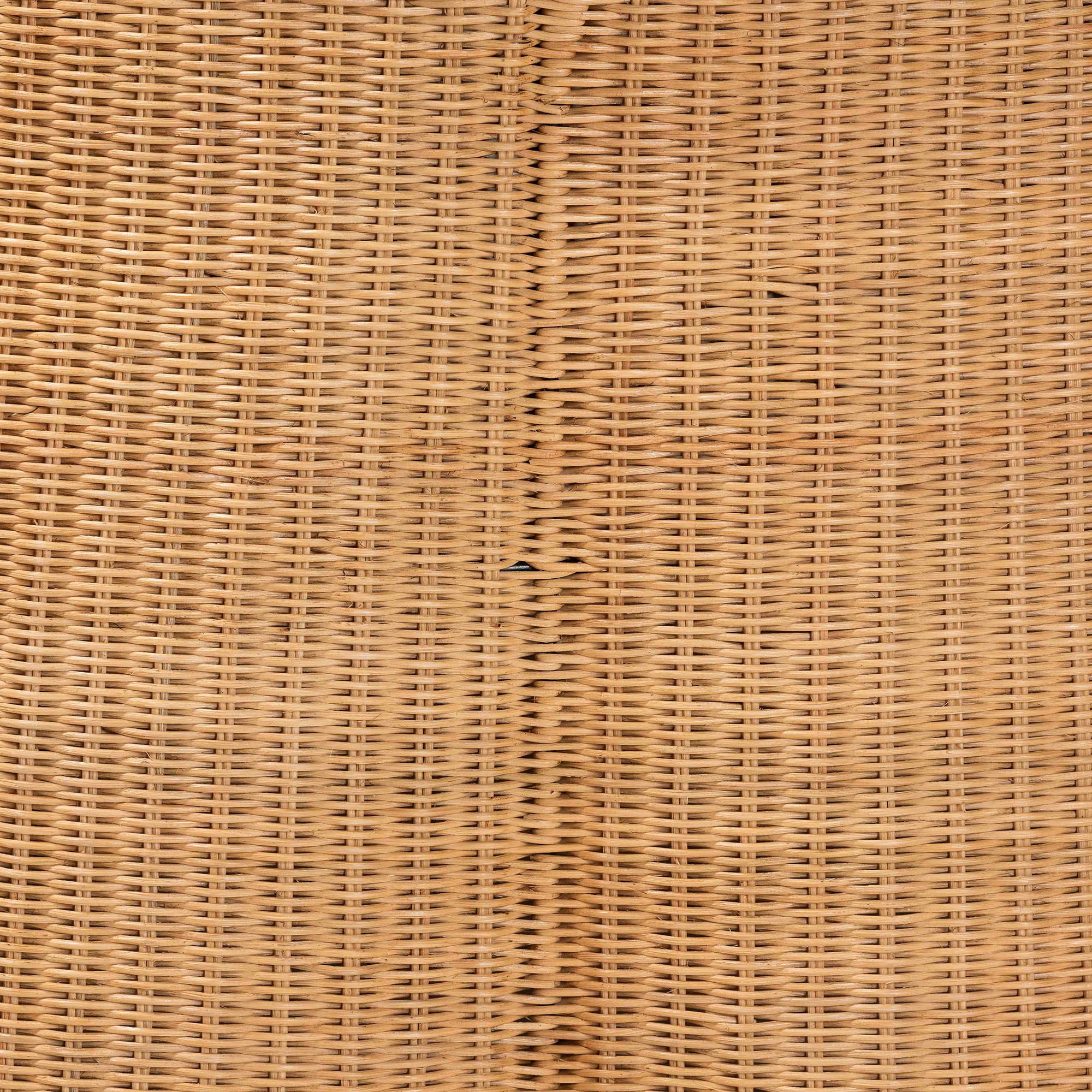 Palm Bohemian Honey Scallop Rattan Coffee Table