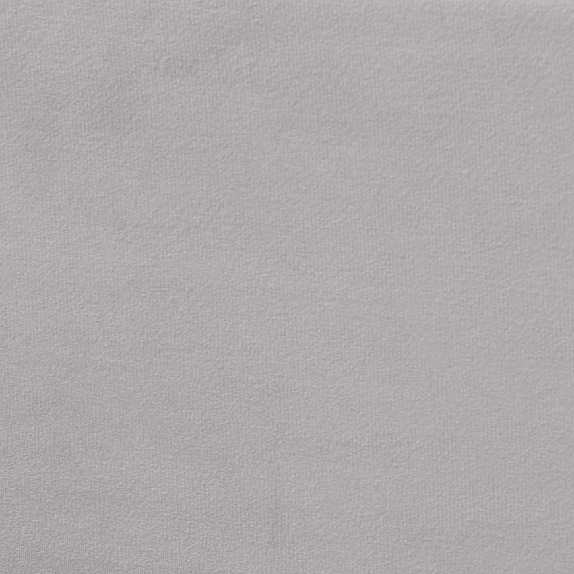 Finch Modern Light Grey Velvet Fabric Twin Size Daybed with Trundle