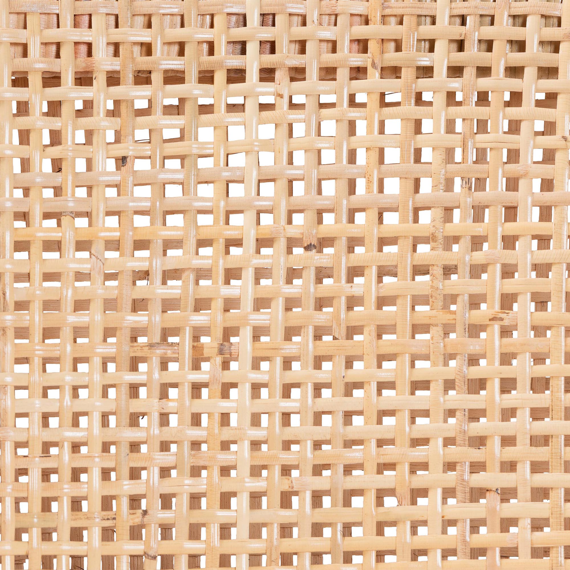 bali & pari Beata Natural Rattan Counter Stool - Handcrafted Wingback Counter Chair with Woven Detailing and Removable Cushion, Coastal Boho Style Seating for Kitchen Island or Dining Area