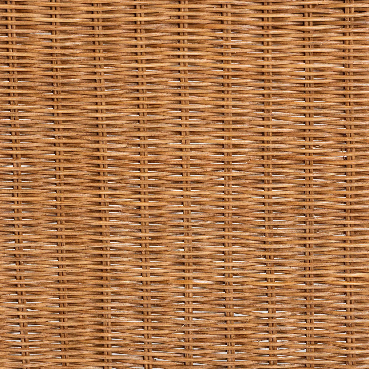 Modesta Natural Rattan Accent Bench - Handwoven Wicker Seating with Scalloped Apron and X-Frame Base, Coastal Boho Entryway or Bedroom Seating