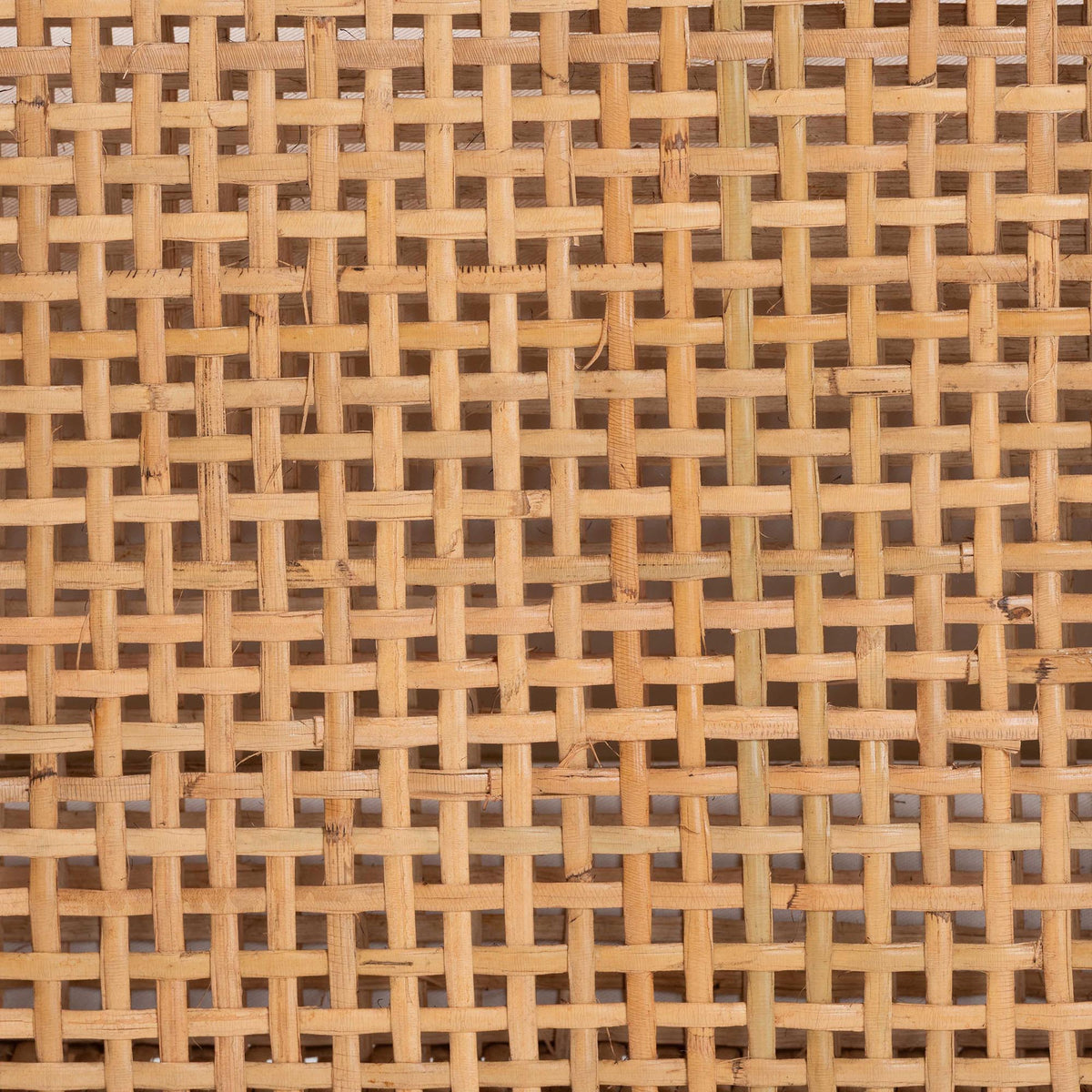 Vivan Natural Rattan Bench - Handwoven Wicker Accent Seating with Cushion and Pillows, Backless