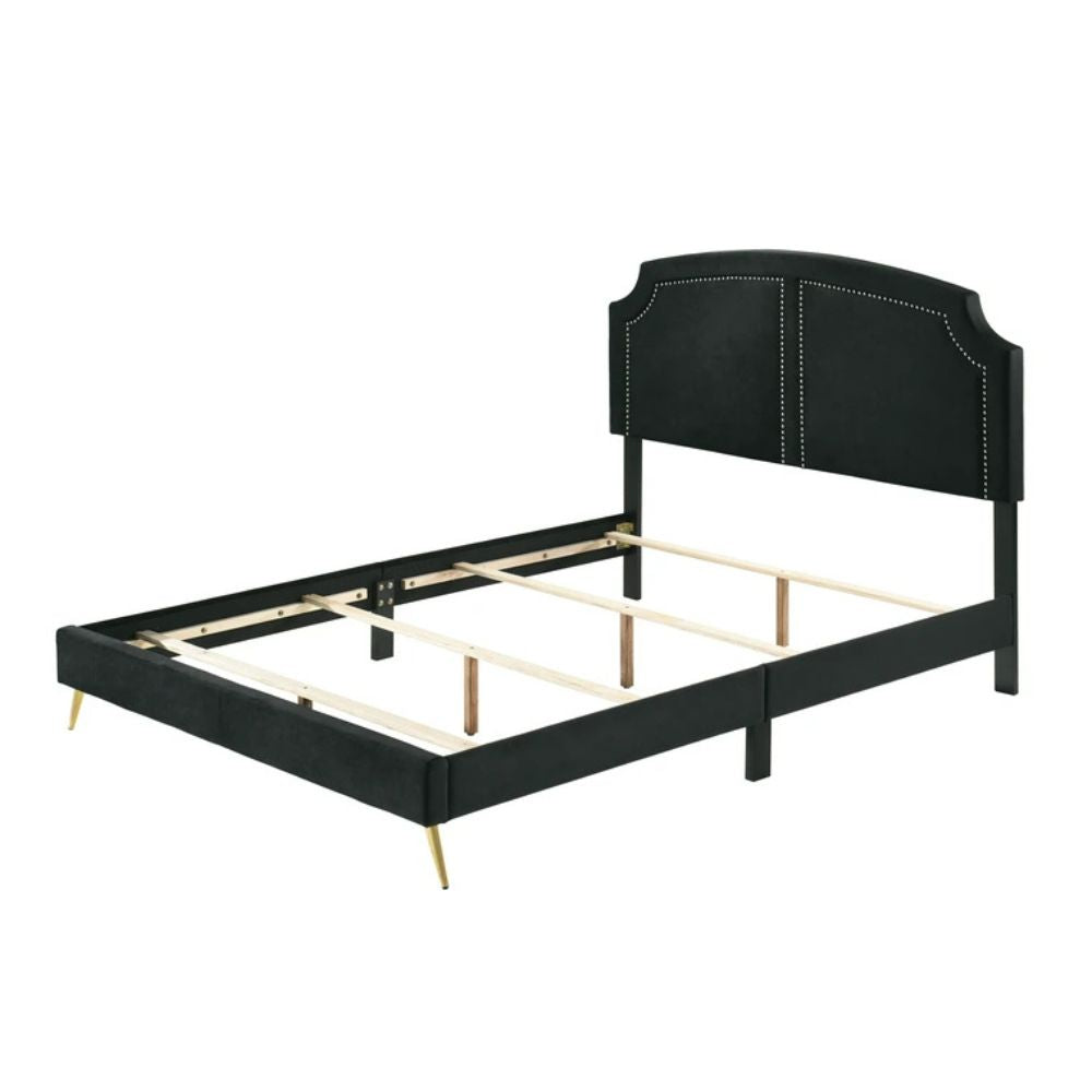 Hirst Zeena Eastern King Black Velvet Contemporary Bed – Upholstered Platform with Gold Accent Trim
