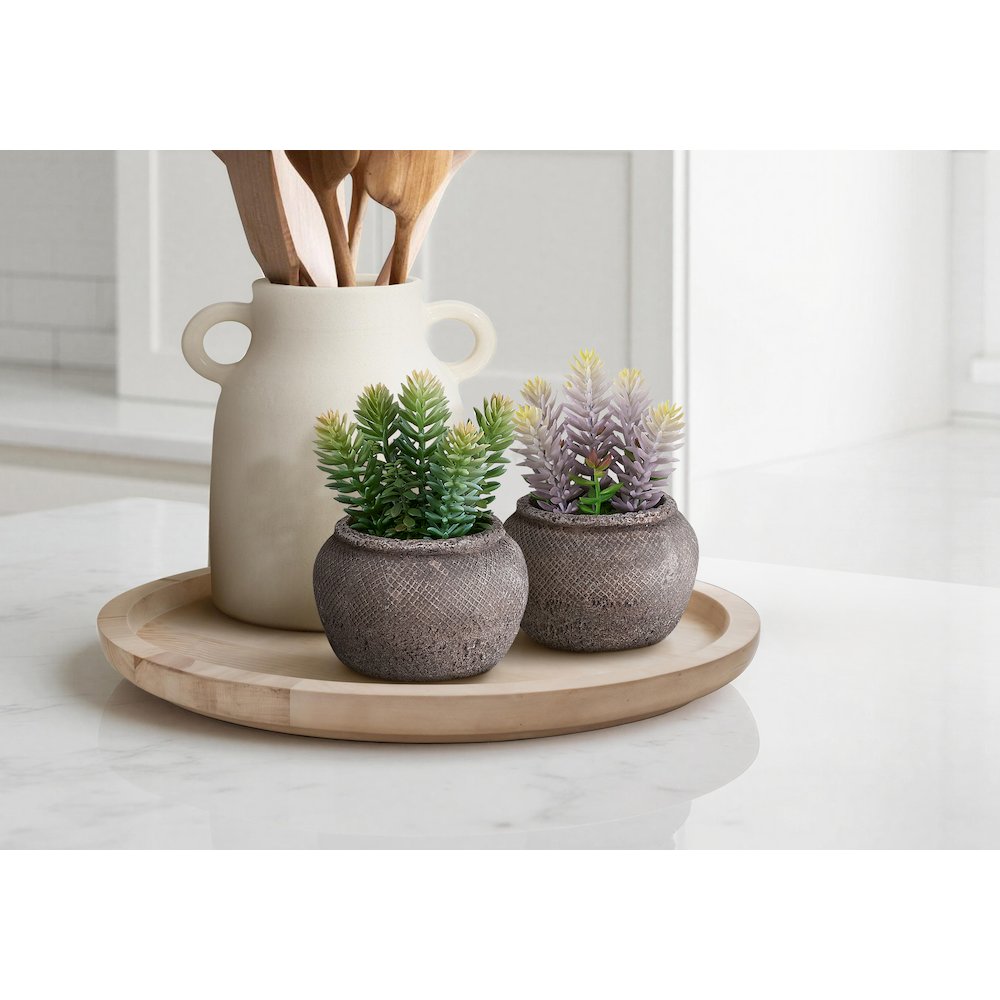 Miranda - Artificial Plant Set Of 2 8" Tall Succulent Table Brown