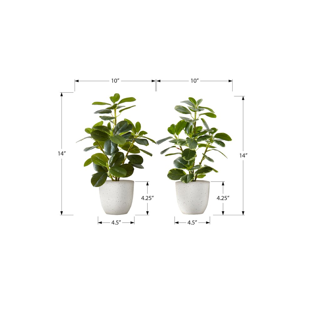 Dericia - Artificial Plant 14" Tall Ficus Indoor Faux Fake Table Greenery