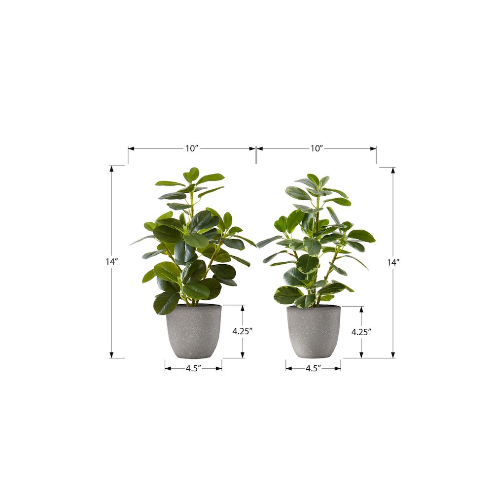 Ballari - Artificial Plant 14" Tall Ficus Indoor Faux Fake Table Greenery