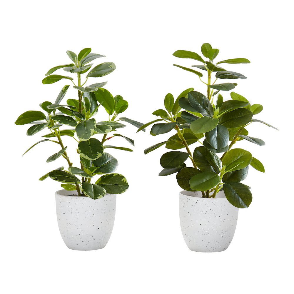 Dericia - Artificial Plant 14" Tall Ficus Indoor Faux Fake Table Greenery