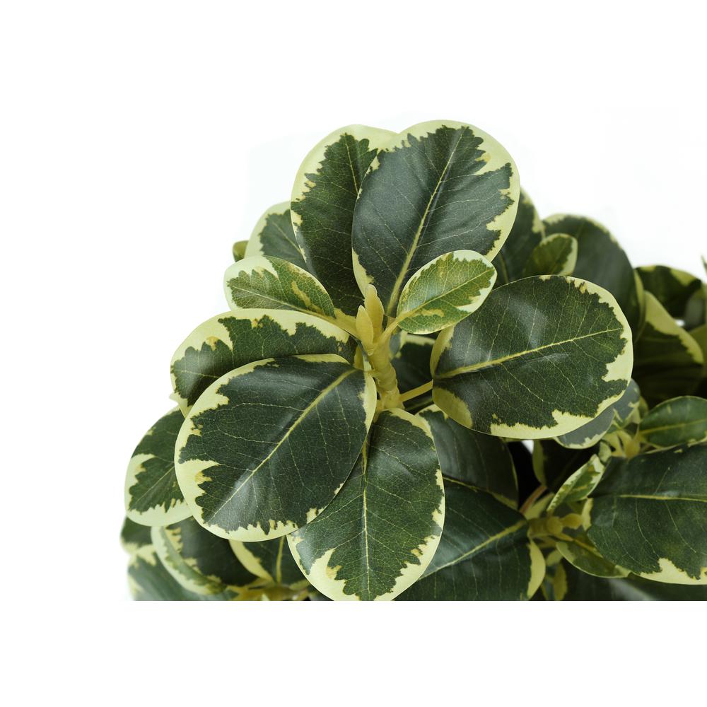 Cherelle - Artificial Plant 14" Tall Ficus Indoor Faux Fake Table Greenery