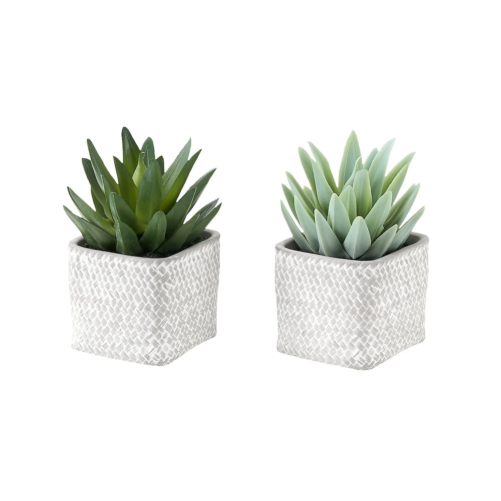 Ballerina - Artificial Plant Set Of 2 8" Tall Succulent Table Grey