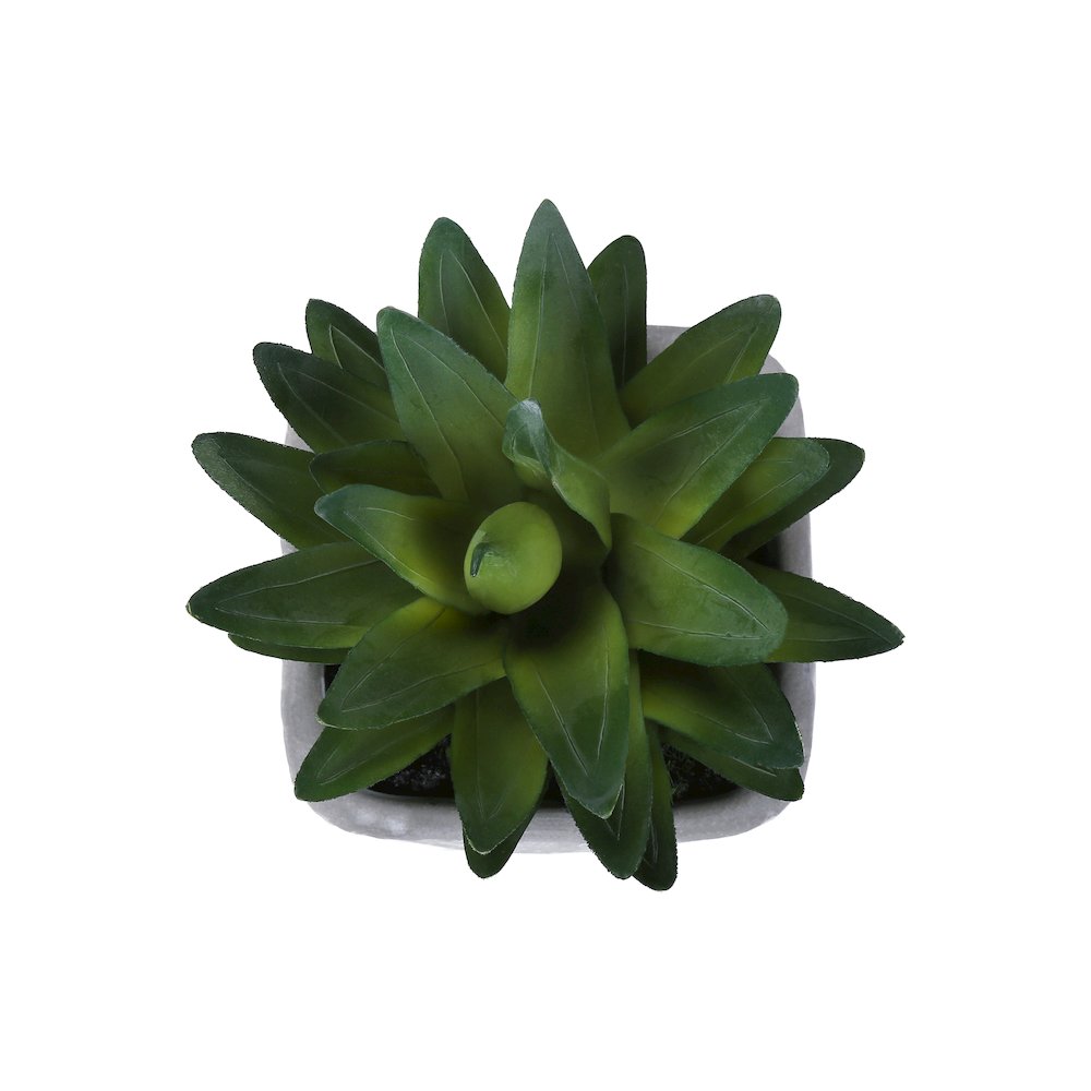Ballerina - Artificial Plant Set Of 2 8" Tall Succulent Table Grey