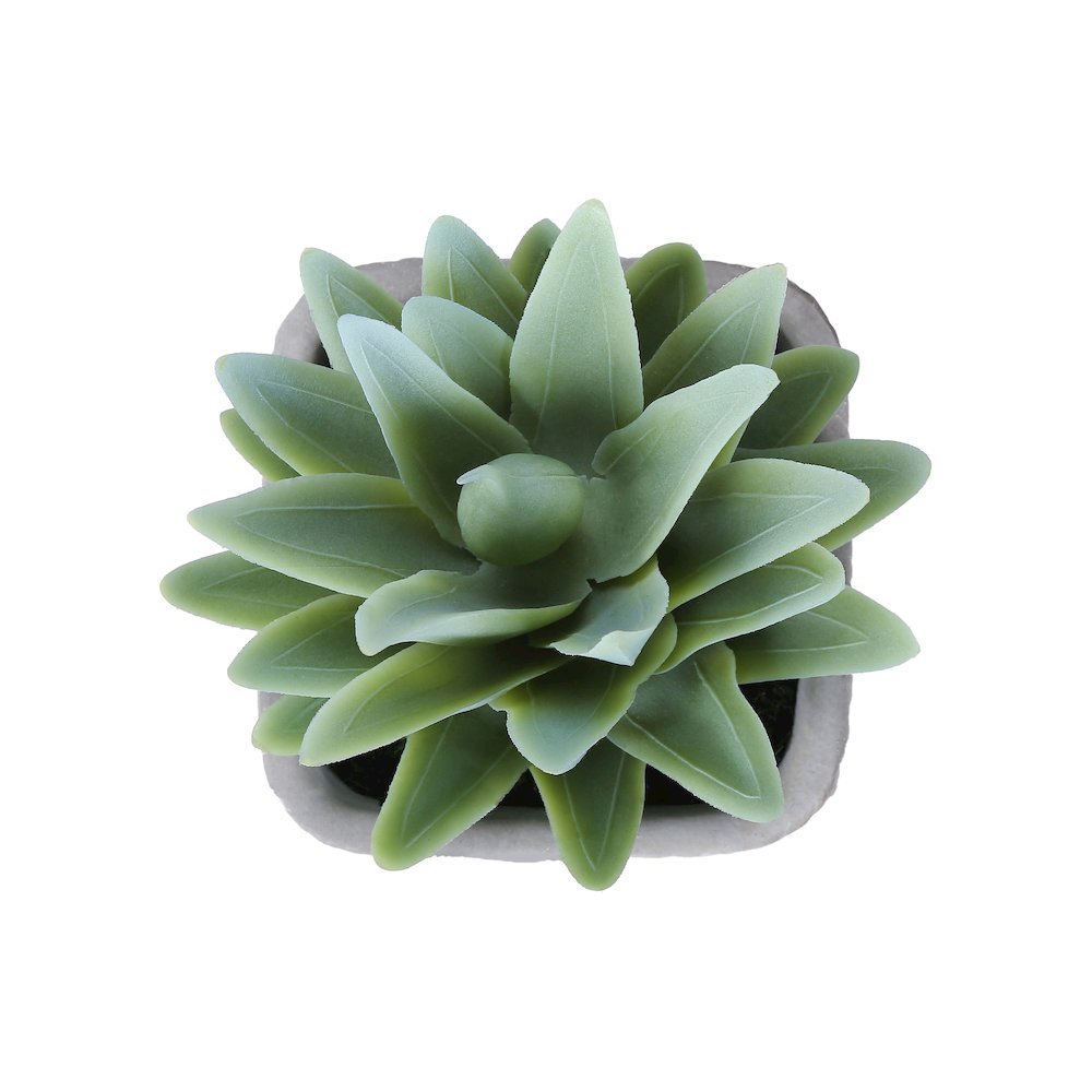 Ballerina - Artificial Plant Set Of 2 8" Tall Succulent Table Grey