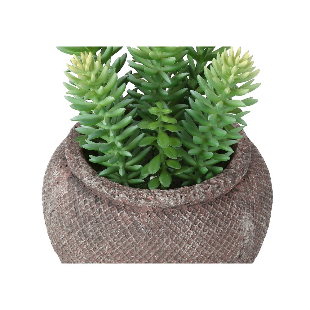 Miranda - Artificial Plant Set Of 2 8" Tall Succulent Table Brown