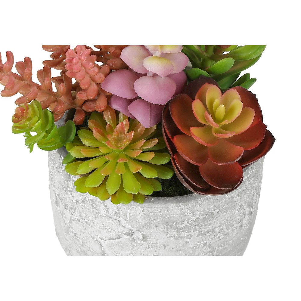 Himari - Artificial Plant Set Of 2 9" Tall Succulent Table Grey
