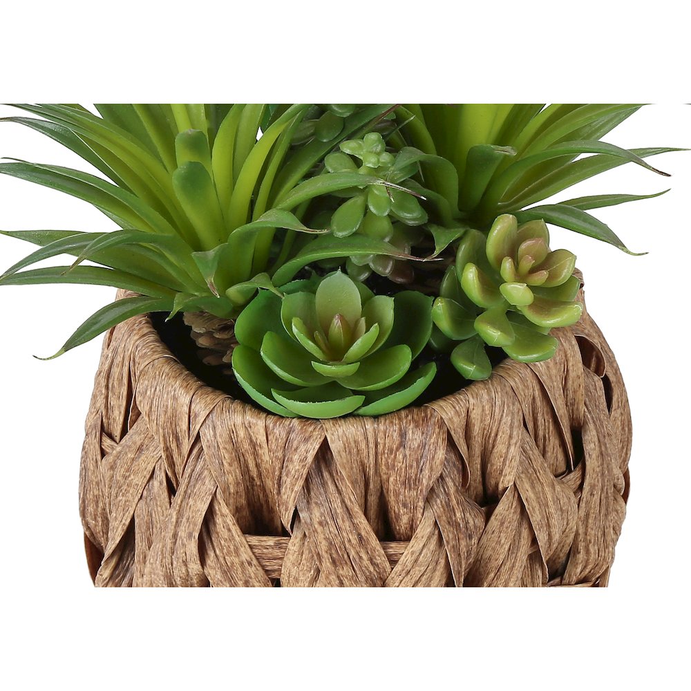 Chenoa - Artificial Plant Set Of 2 9" Tall Succulent Table Brown