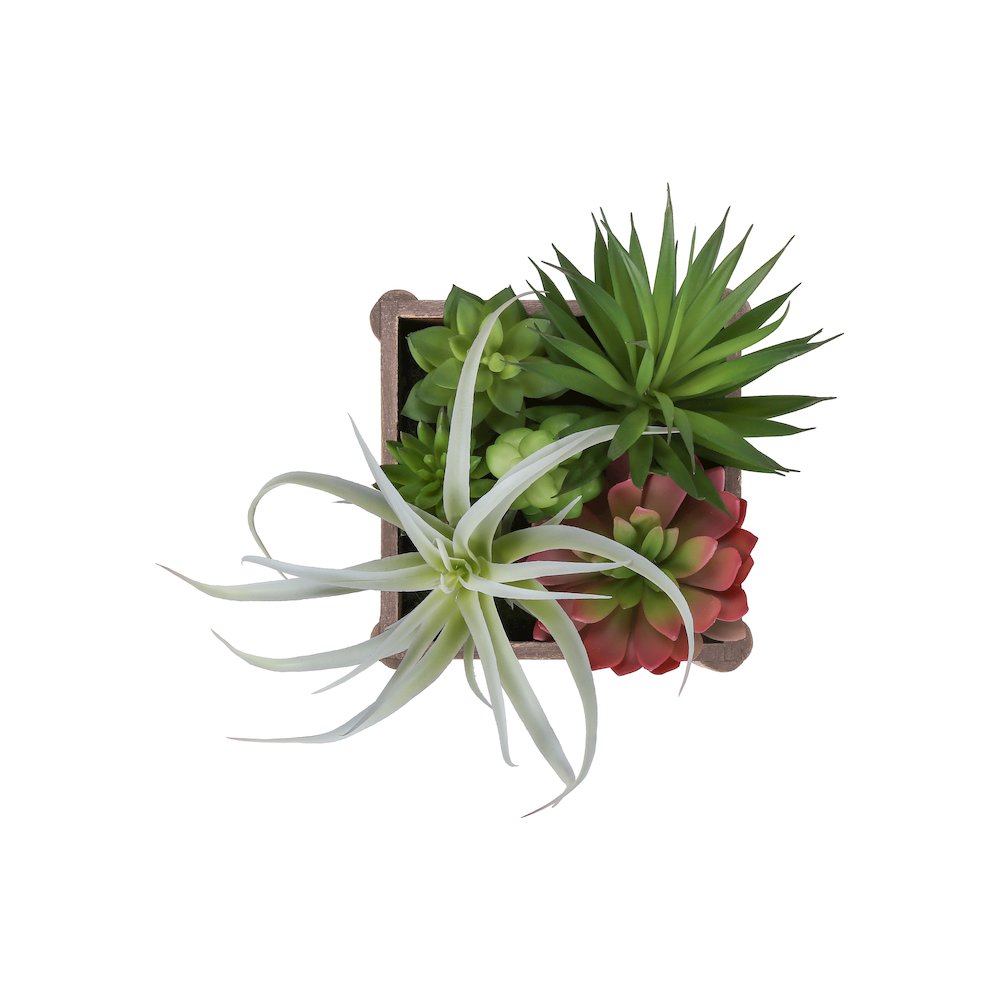 Leryn - Artificial Plant Set Of 2 10" Tall Succulent Table Brown