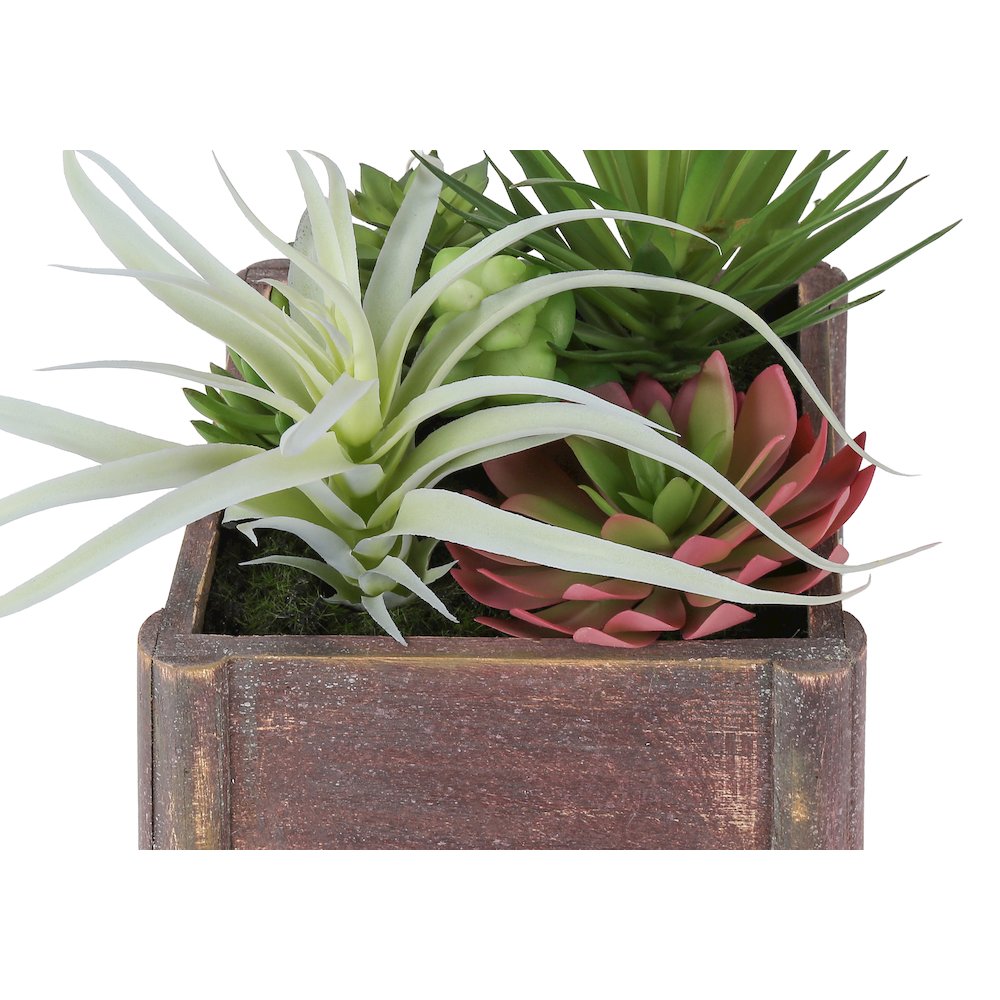 Leryn - Artificial Plant Set Of 2 10" Tall Succulent Table Brown