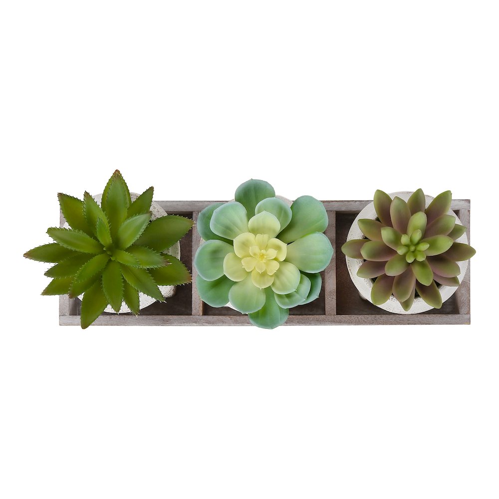 Andre - Artificial Plant Set Of 3 6" Tall Succulent Table Beige