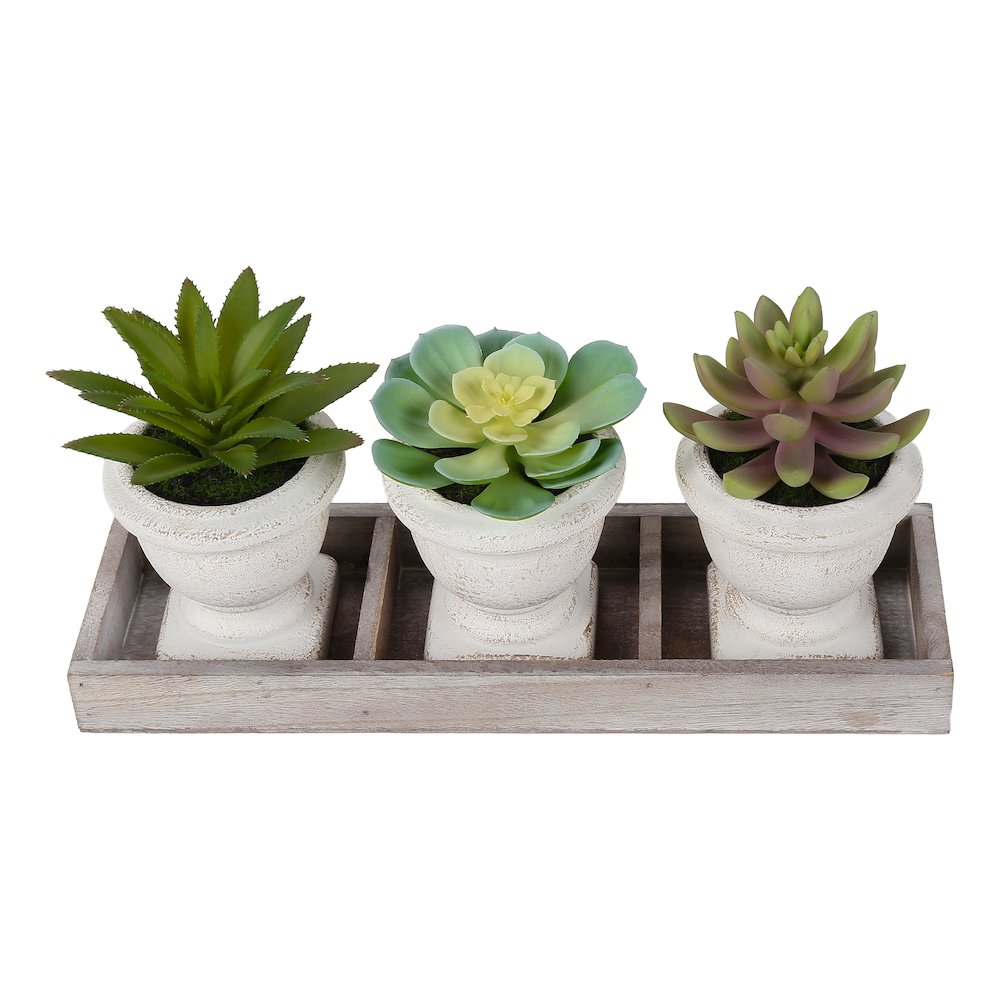 Andre - Artificial Plant Set Of 3 6" Tall Succulent Table Beige