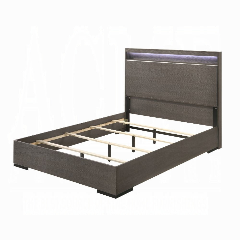 Maisie Escher Collection Queen Bed Gray Oak – Contemporary Platform Frame with LED Headboard