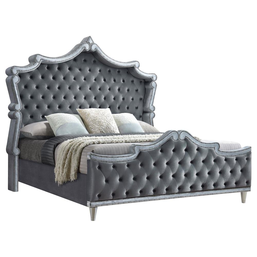 Perse Antonella Queen Grey Velvet Upholstered Bed – Glam Tufted with Chrome Nailhead Trim