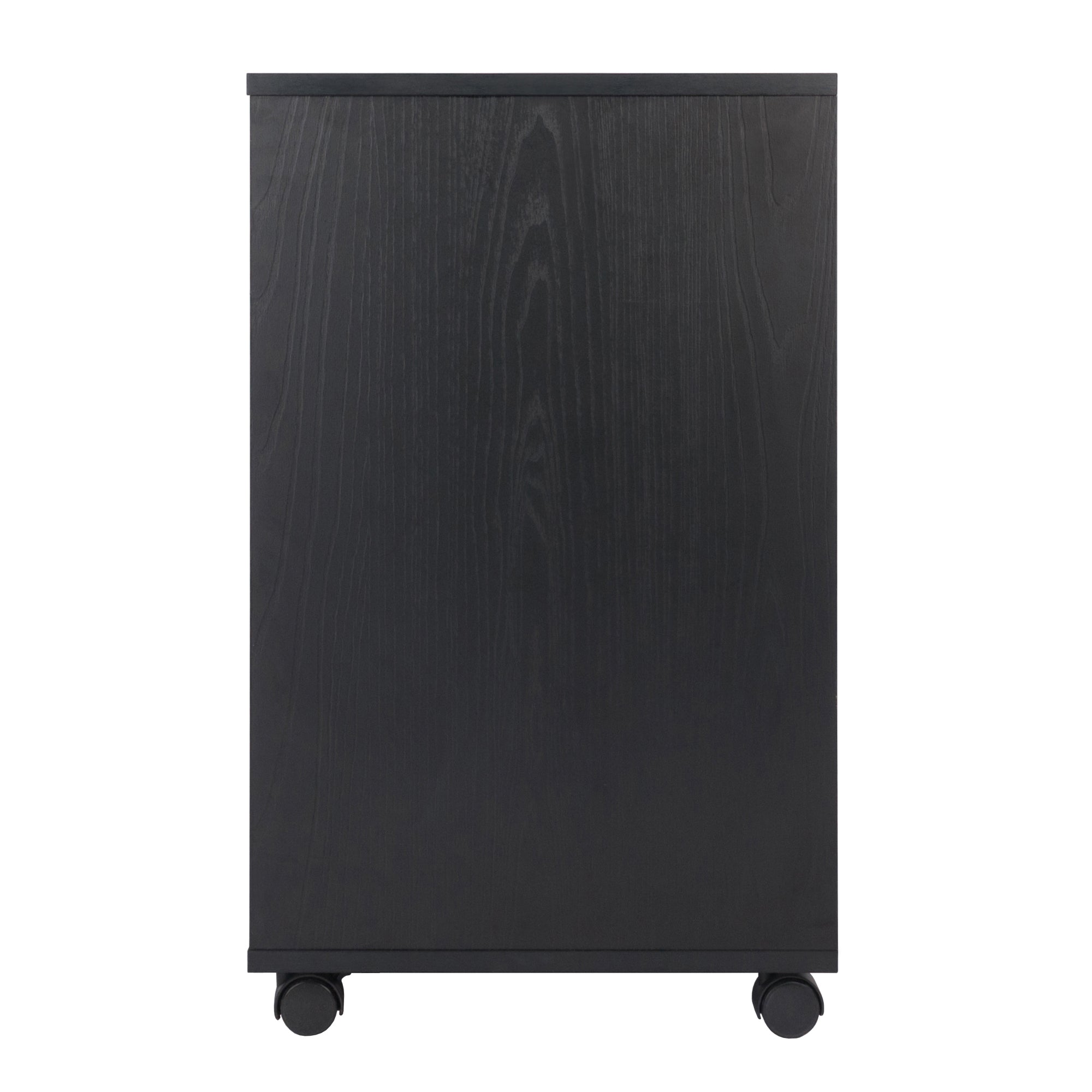 Halifax 2-Door, 4-Drawer Mobile Cabinet, Black