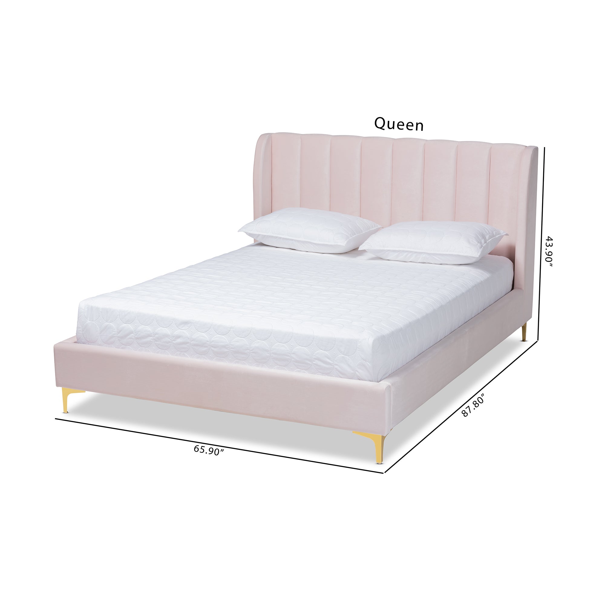 Saverio Light Pink Velvet with Gold Legs Queen Bed