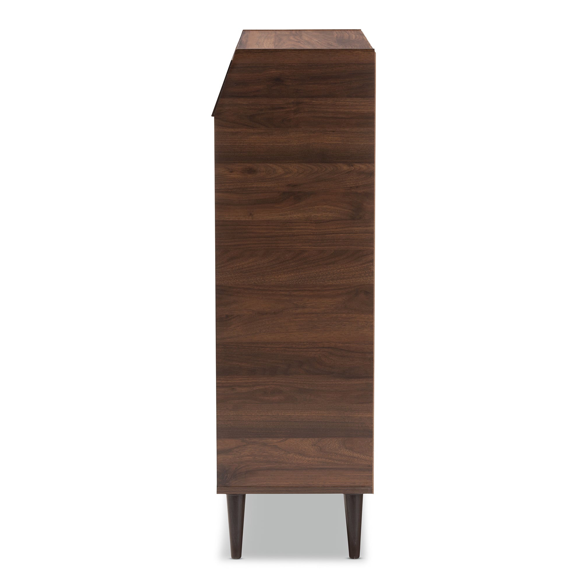 Cormier Mid-Century Modern Walnut Brown finished 2-Door Wood Entryway Shoe Storage Cabinet