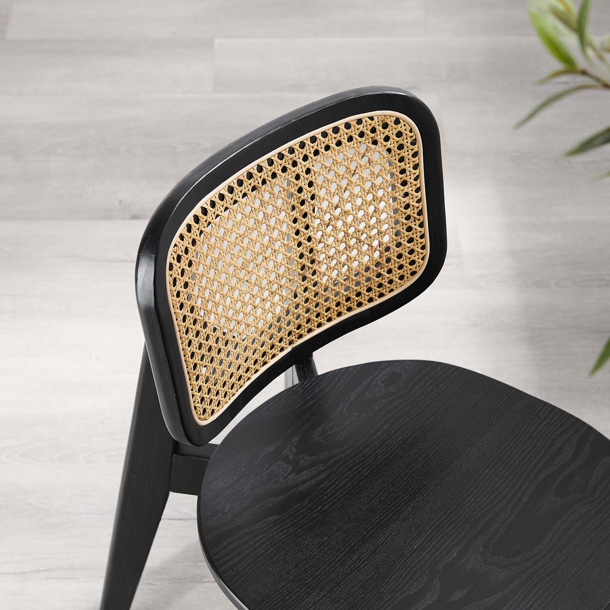 Habitat Wood Dining Side Chair, Black