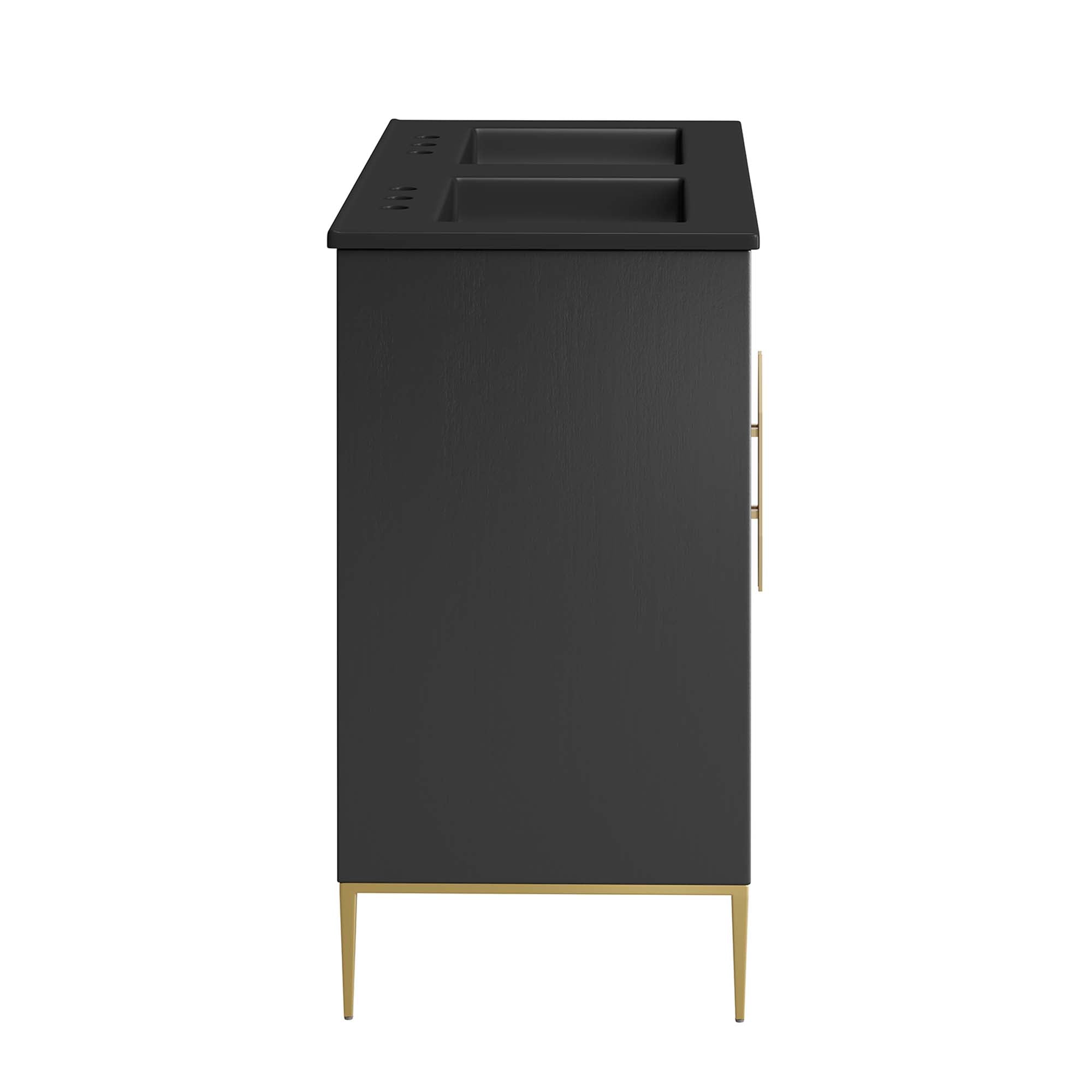 Awaken 48" Double Sink Bathroom Vanity, Black Black