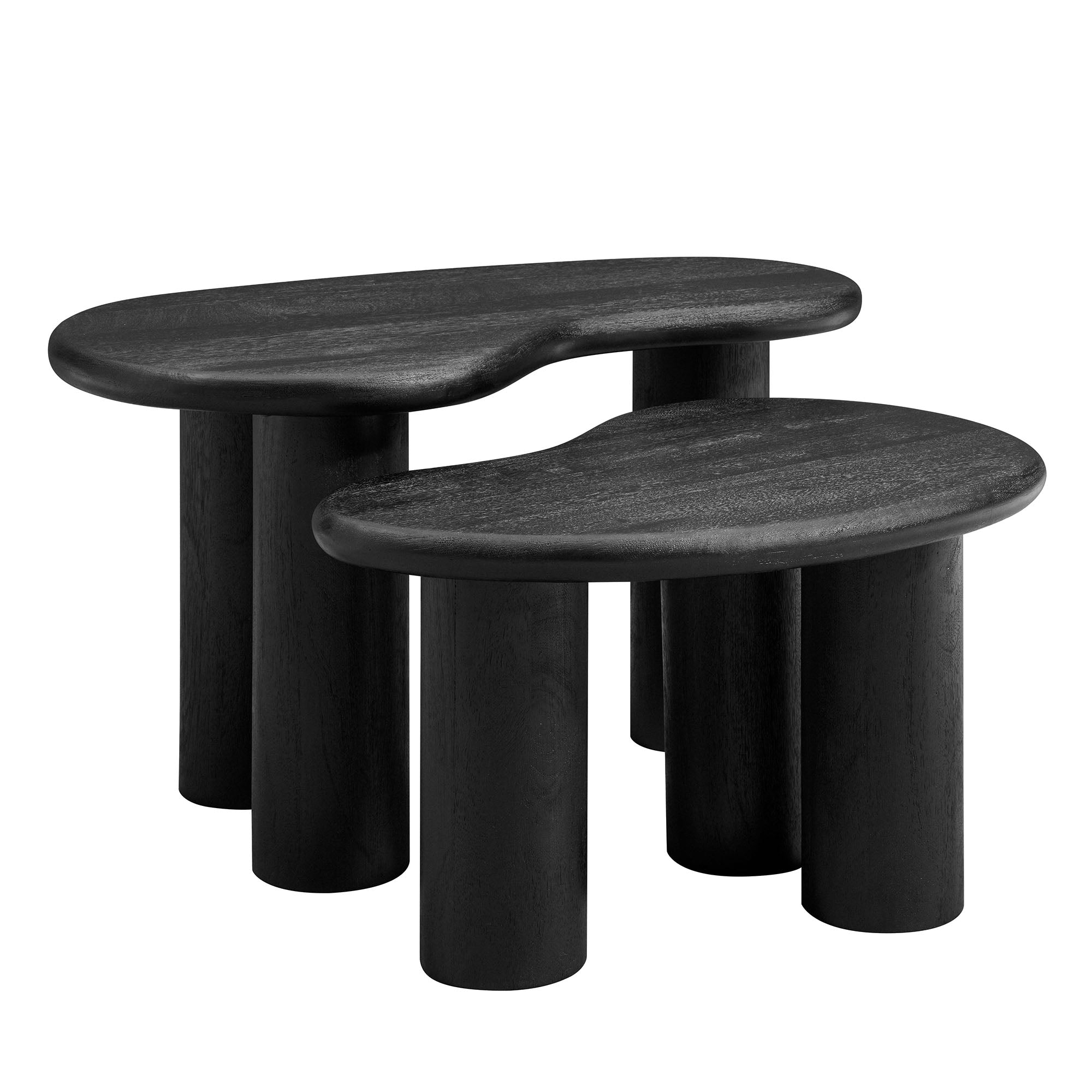 Hackney Mango Wood Nesting Coffee Table Set, Black