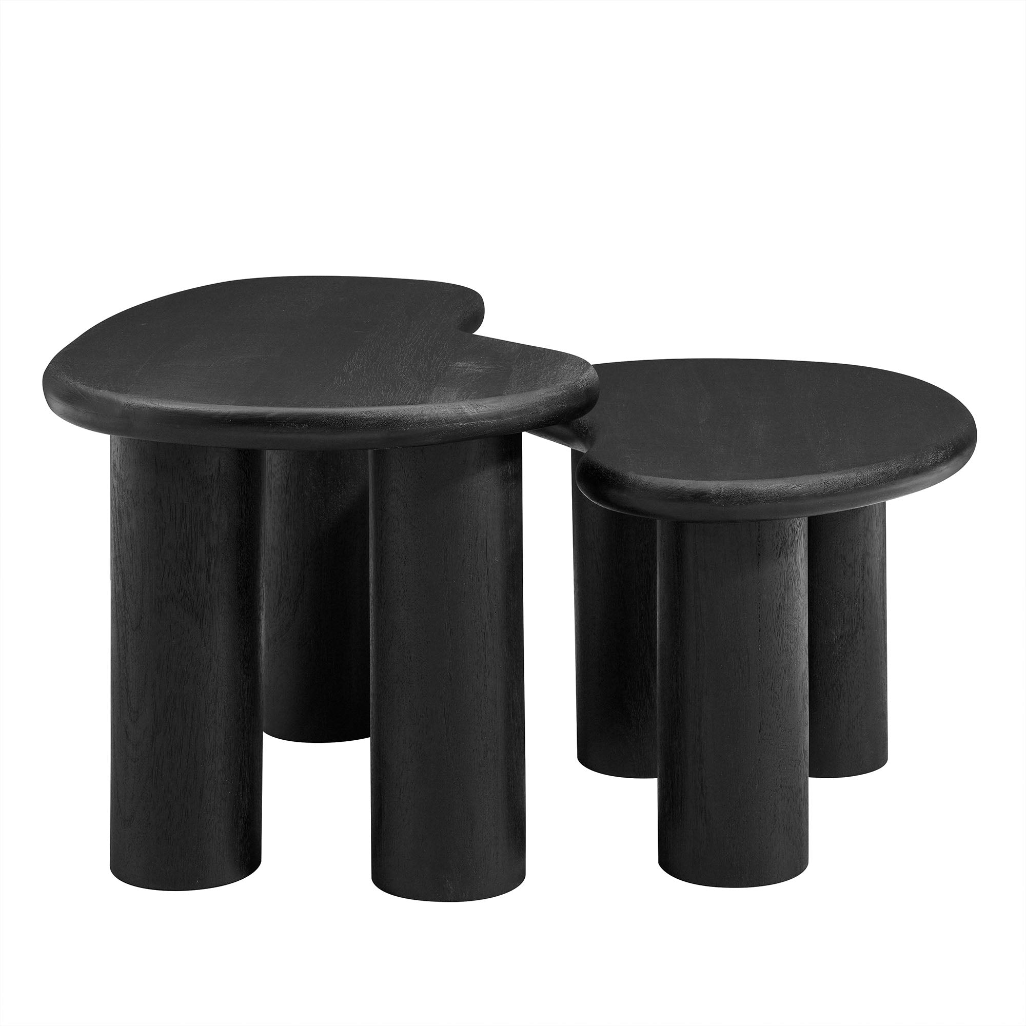 Hackney Mango Wood Nesting Coffee Table Set, Black