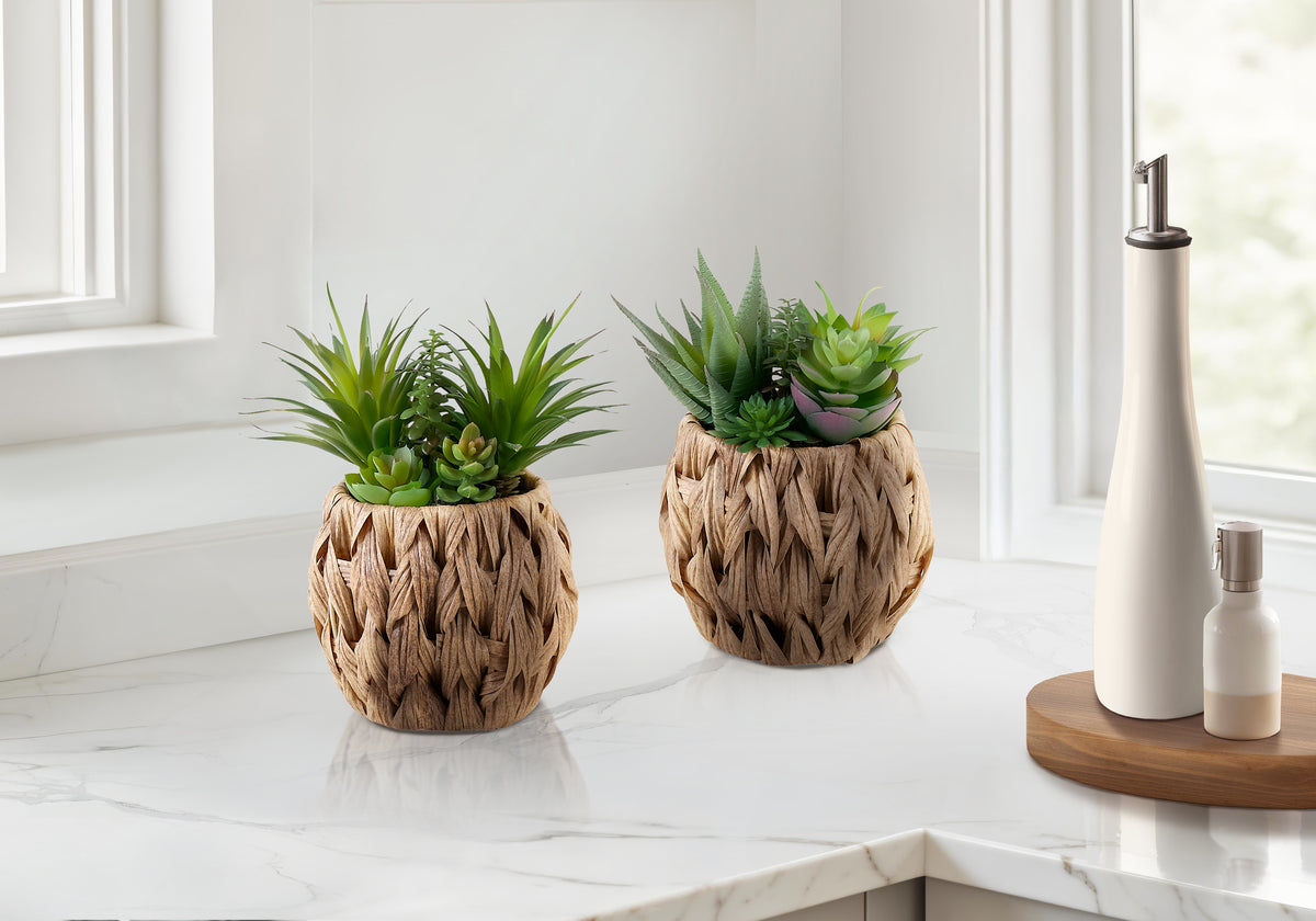 Chenoa - Artificial Plant Set Of 2 9" Tall Succulent Table Brown