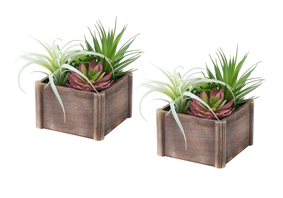 Leryn - Artificial Plant Set Of 2 10" Tall Succulent Table Brown