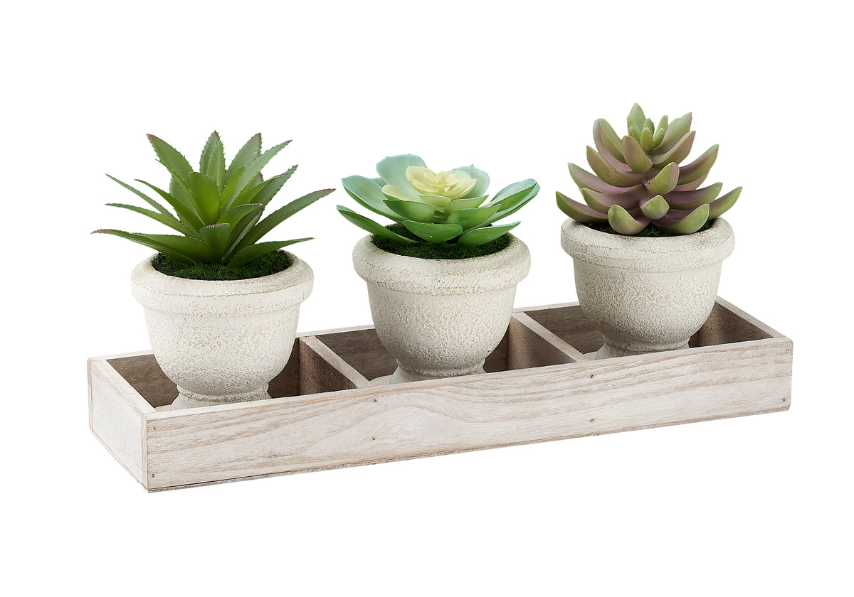 Andre - Artificial Plant Set Of 3 6" Tall Succulent Table Beige