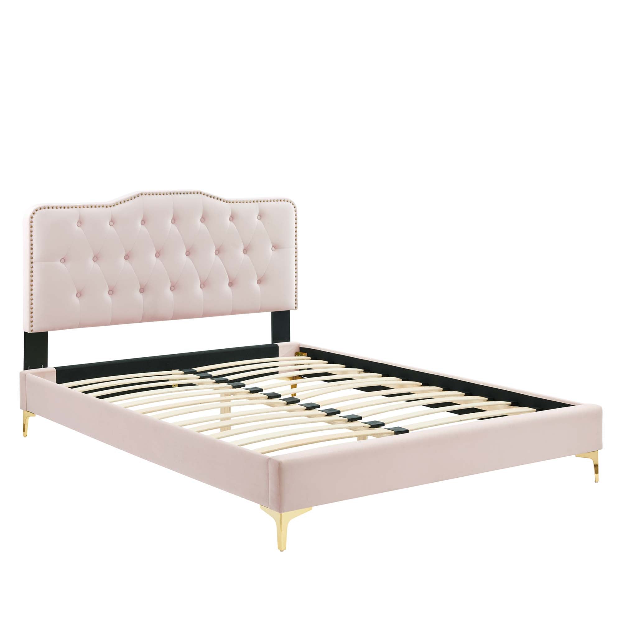 Finn Pink Queen Velvet Platform Bed Button Tufted with Gold Metal Legs