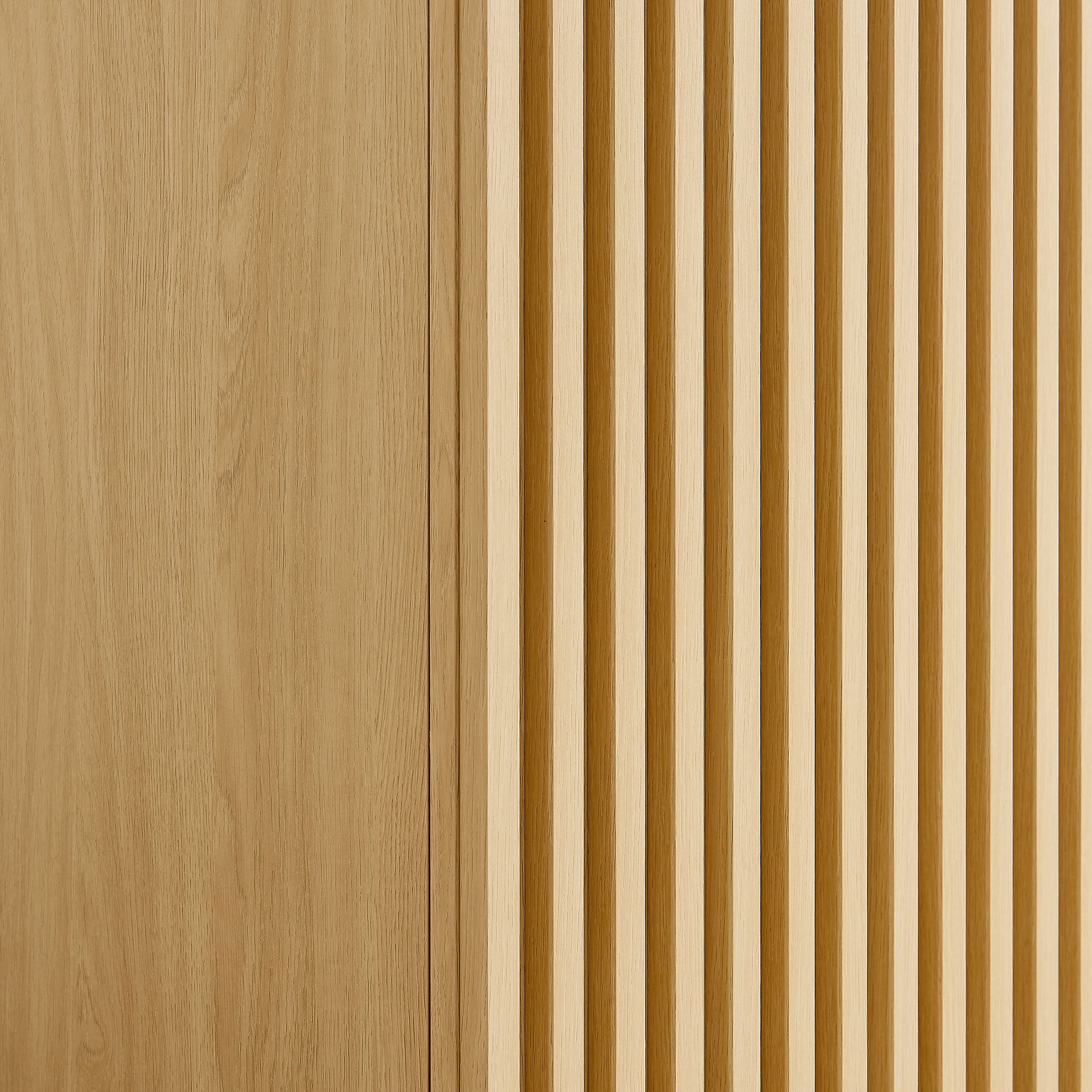 Render 2-Door Wardrobe Closet, Oak