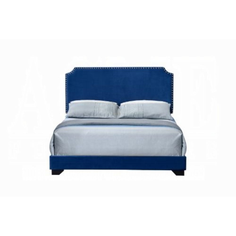 Flora Haemon Queen Blue Velvet Platform Bed – Elegant Upholstered Frame with Padded Headboard