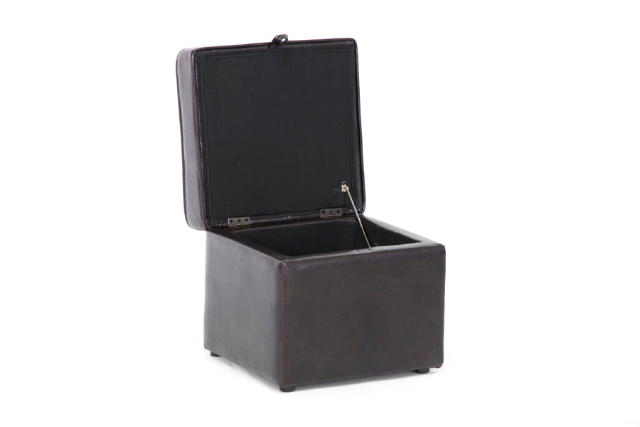 Sydney Brown Modern Storage Ottoman